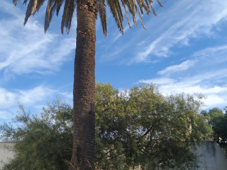 VENTA CASONA ANTIGUA CALLE DEAN FUNES ALTA GRACIA (9)