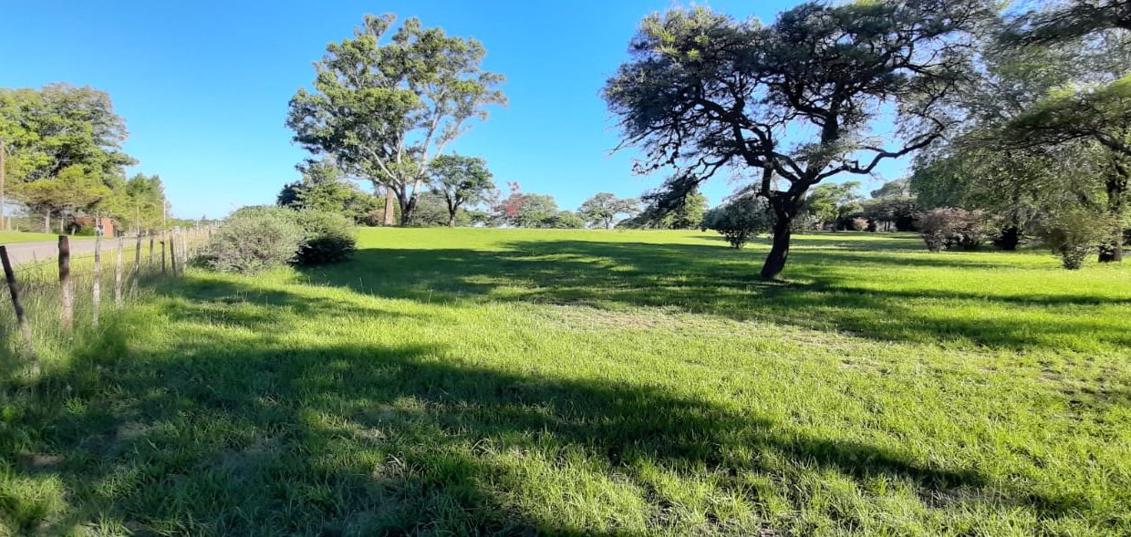 VENTA FRACCIONES FALDA DEL CARMEN (3)