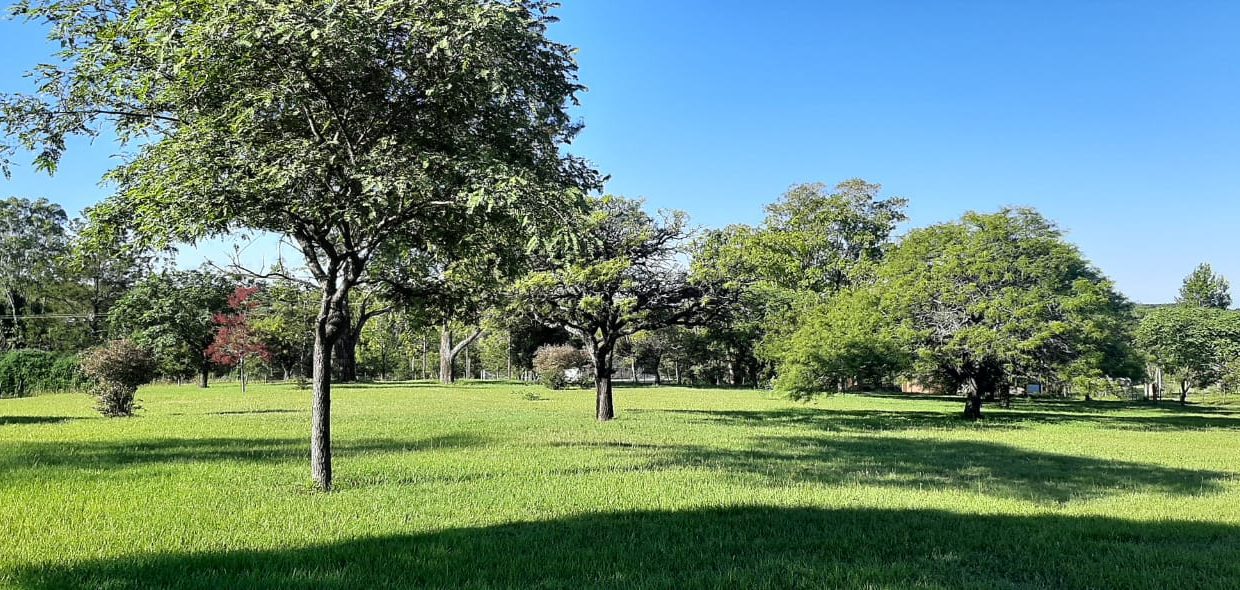 VENTA FRACCIONES FALDA DEL CARMEN (5)