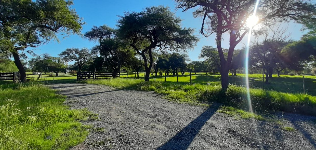 VENTA FRACCIONES FALDA DEL CARMEN (7)