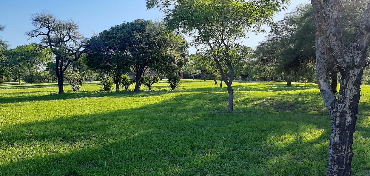 VENTA FRACCIONES FALDA DEL CARMEN (8)