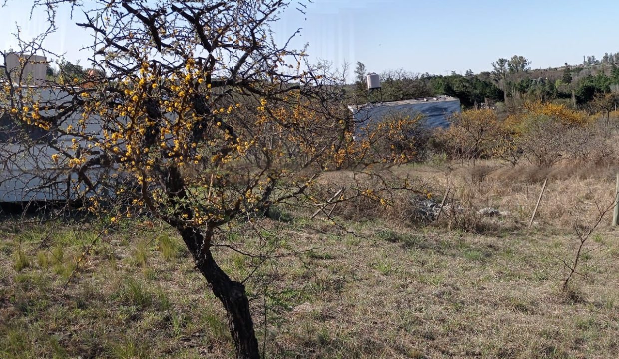 VENTA LOTE LOS AROMOS (1)