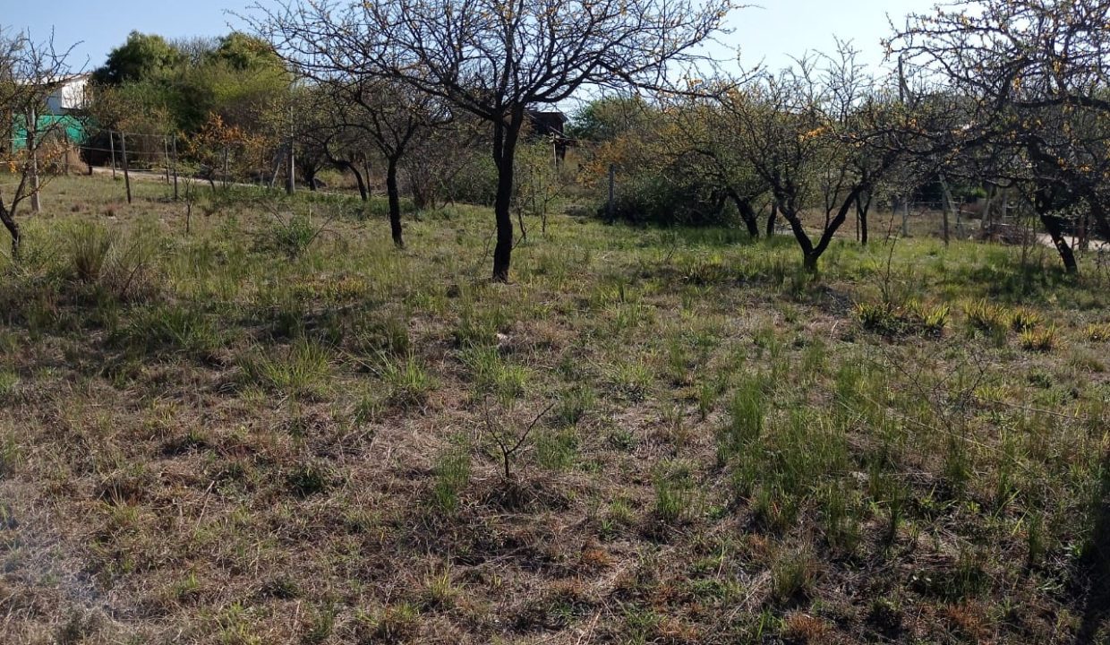 VENTA LOTE LOS AROMOS (2)