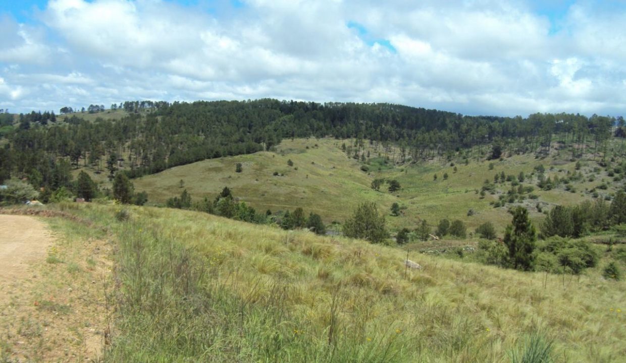 VENTA LOTEO INTIYACO ATHOS PAMPA CORDOBA (14)