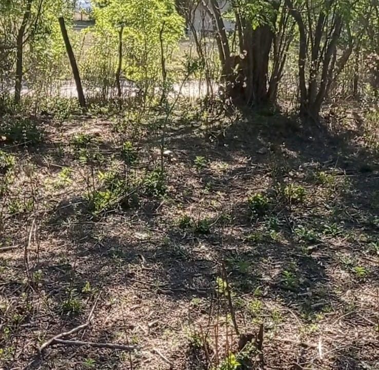 VENTA LOTES CNO VALLE BUENA ESPERANZA (1)