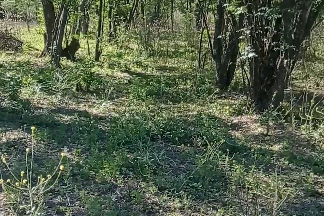 VENTA LOTES CNO VALLE BUENA ESPERANZA (2)