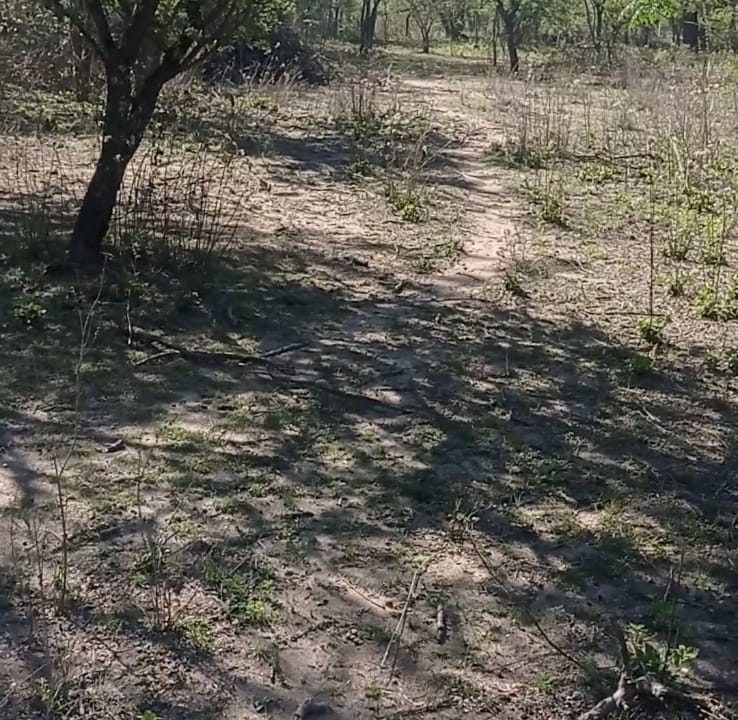 VENTA LOTES CNO VALLE BUENA ESPERANZA (3)