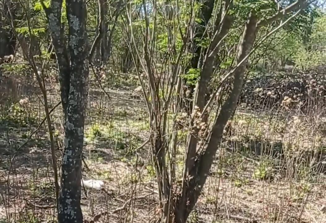 VENTA LOTES CNO VALLE BUENA ESPERANZA (4)