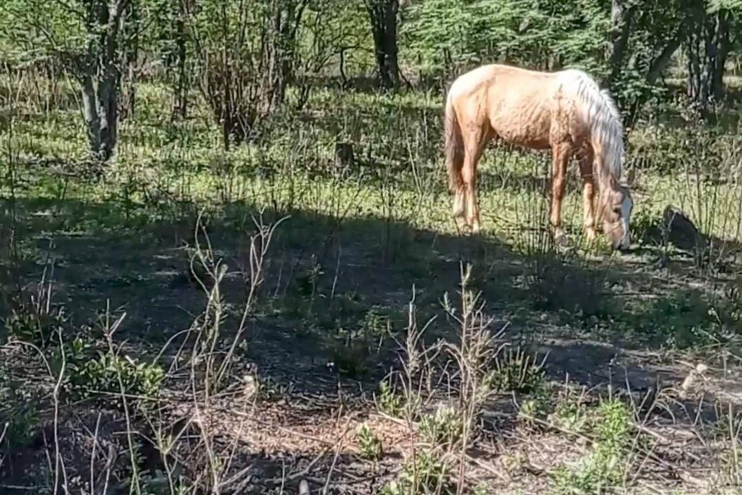 VENTA LOTES CNO VALLE BUENA ESPERANZA (5)