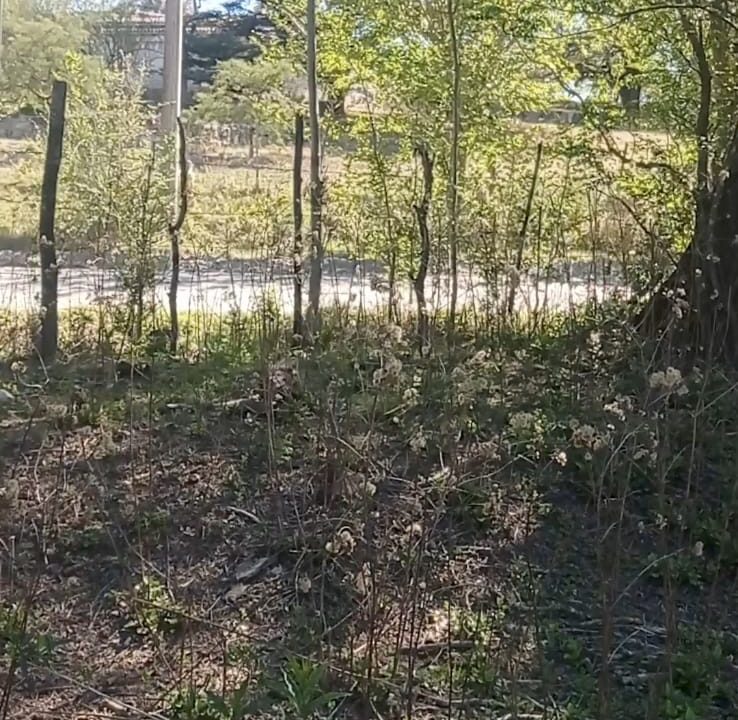 VENTA LOTES CNO VALLE BUENA ESPERANZA (6)