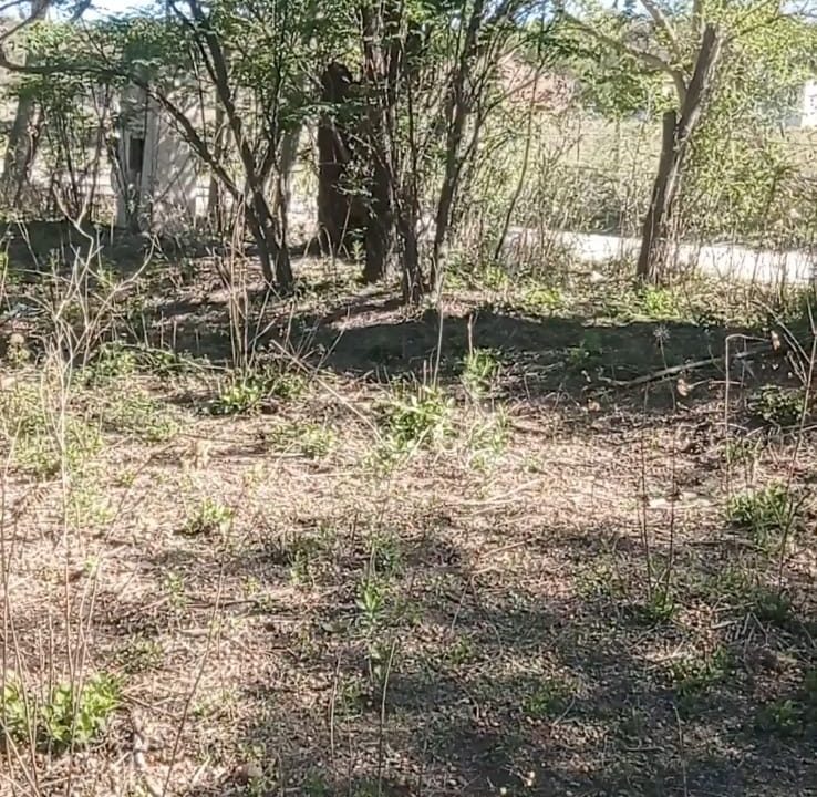 VENTA LOTES CNO VALLE BUENA ESPERANZA (7)