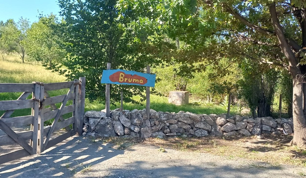 WhatsApp Image 2023-03-05 at 21.30.12 (1)