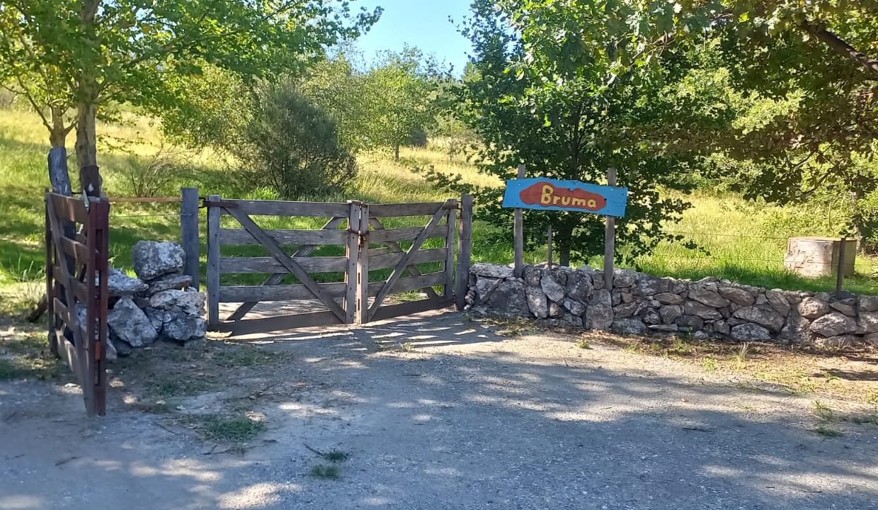 WhatsApp Image 2023-03-05 at 21.30.12