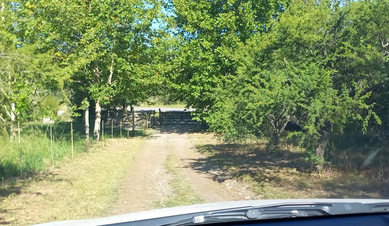 WhatsApp Image 2023-03-05 at 21.30.21