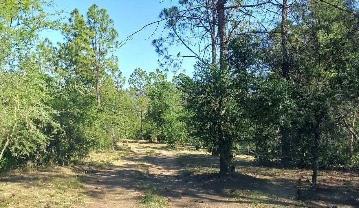 WhatsApp Image 2023-03-05 at 21.30.22 (1)