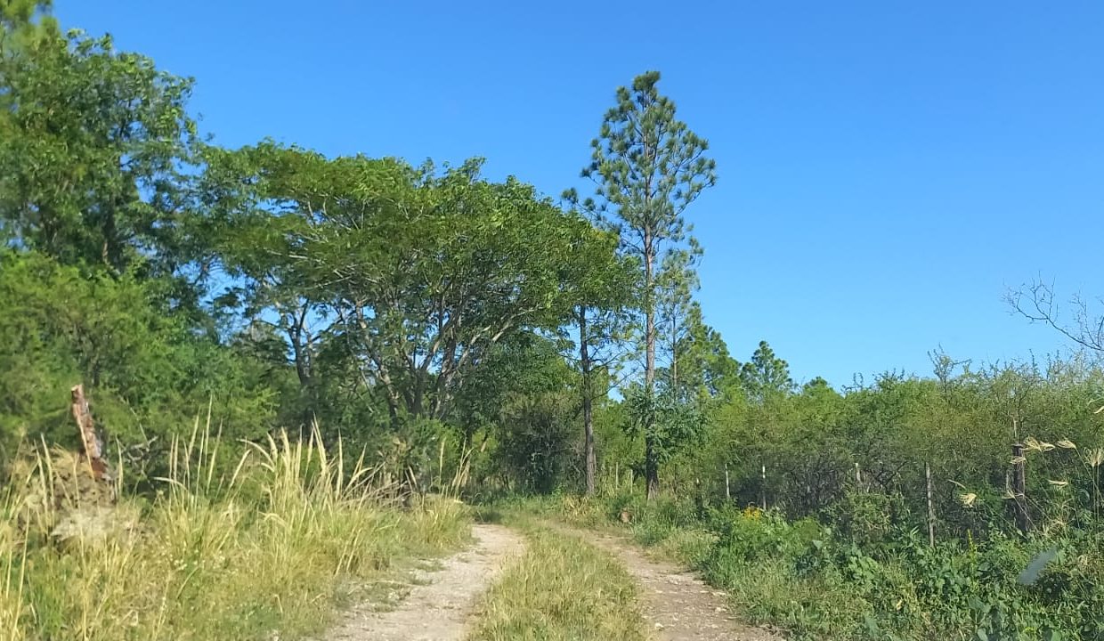 WhatsApp Image 2023-03-05 at 21.30.23 (2)