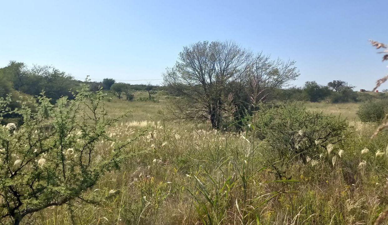 WhatsApp Image 2023-03-05 at 21.30.24 (1)