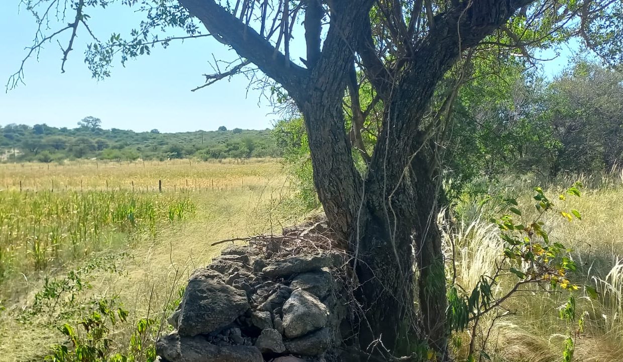 WhatsApp Image 2023-03-05 at 21.30.25 (1)