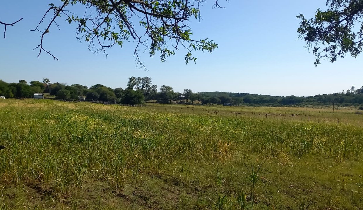 WhatsApp Image 2023-03-05 at 21.30.25