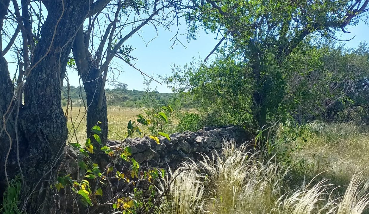 WhatsApp Image 2023-03-05 at 21.30.27 (1)