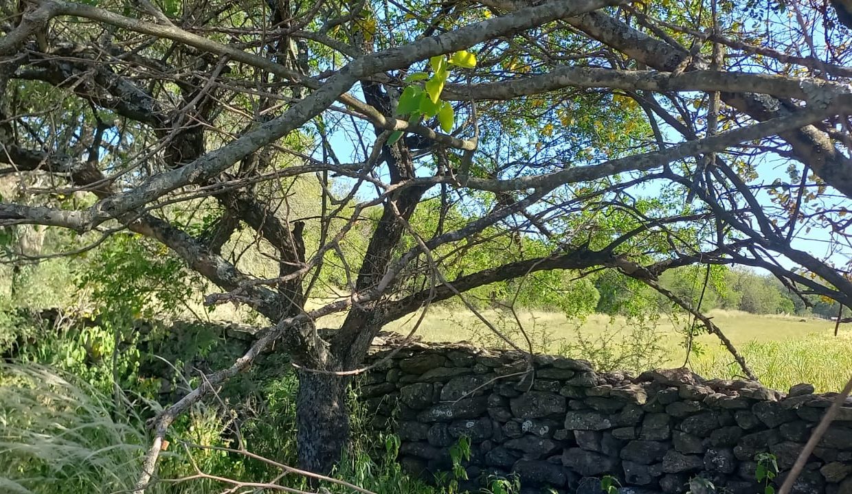 WhatsApp Image 2023-03-05 at 21.30.27