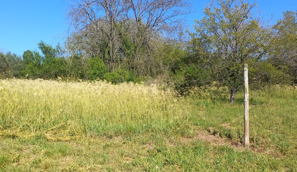 WhatsApp Image 2023-03-05 at 21.30.28 (2)