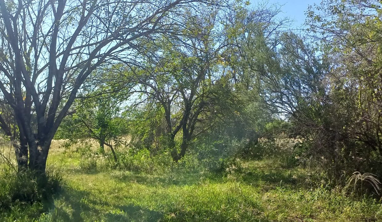 WhatsApp Image 2023-03-05 at 21.30.29 (1)