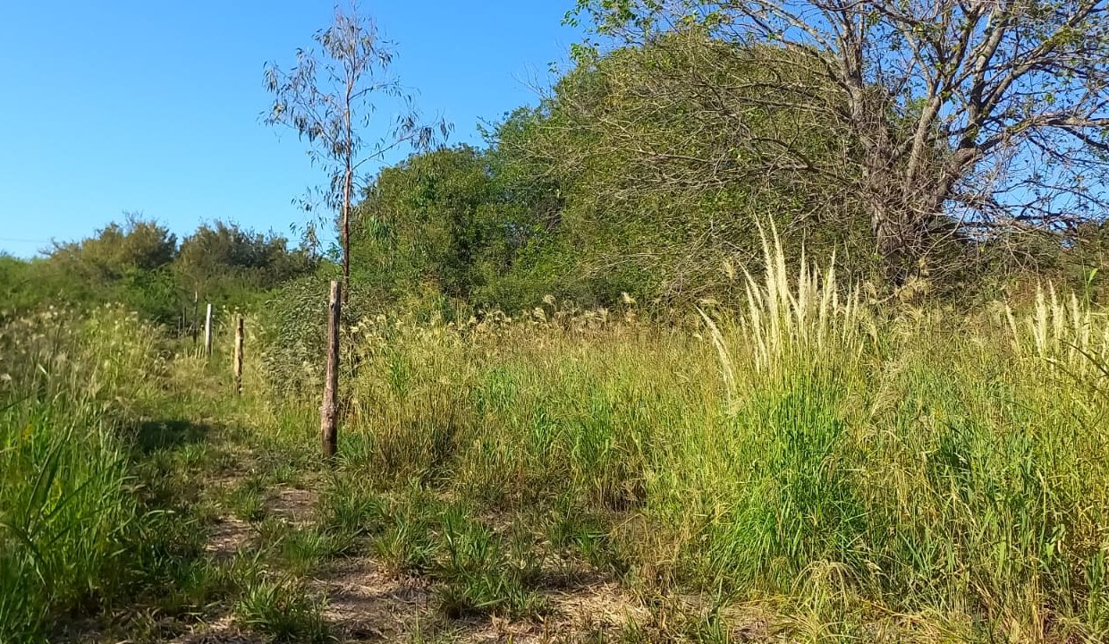 WhatsApp Image 2023-03-05 at 21.30.30 (1)