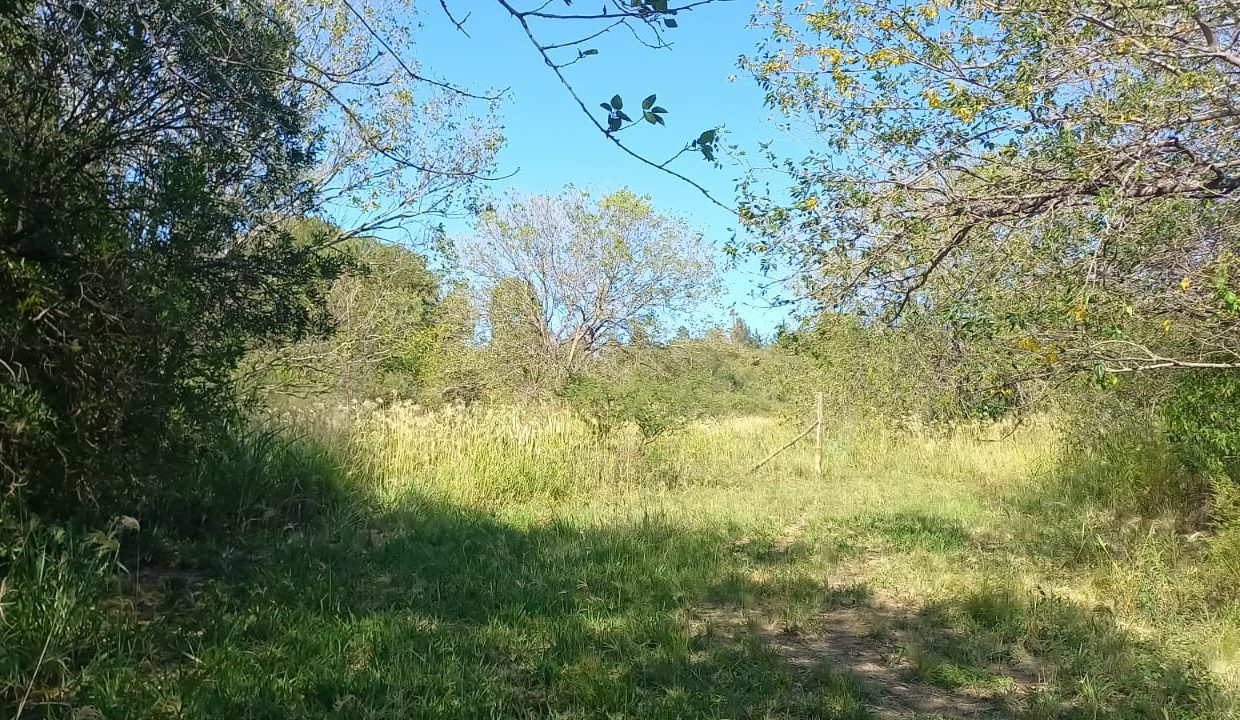 WhatsApp Image 2023-03-05 at 21.30.31 (1)