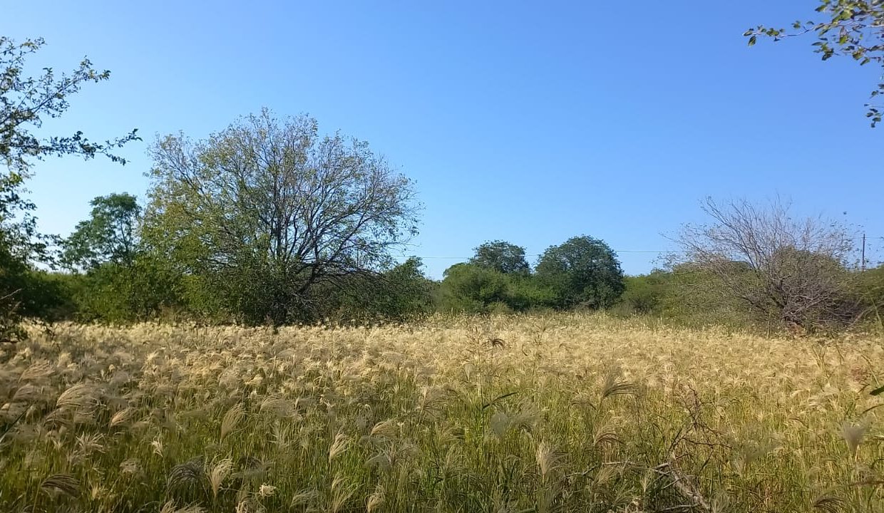 WhatsApp Image 2023-03-05 at 21.30.31 (3)