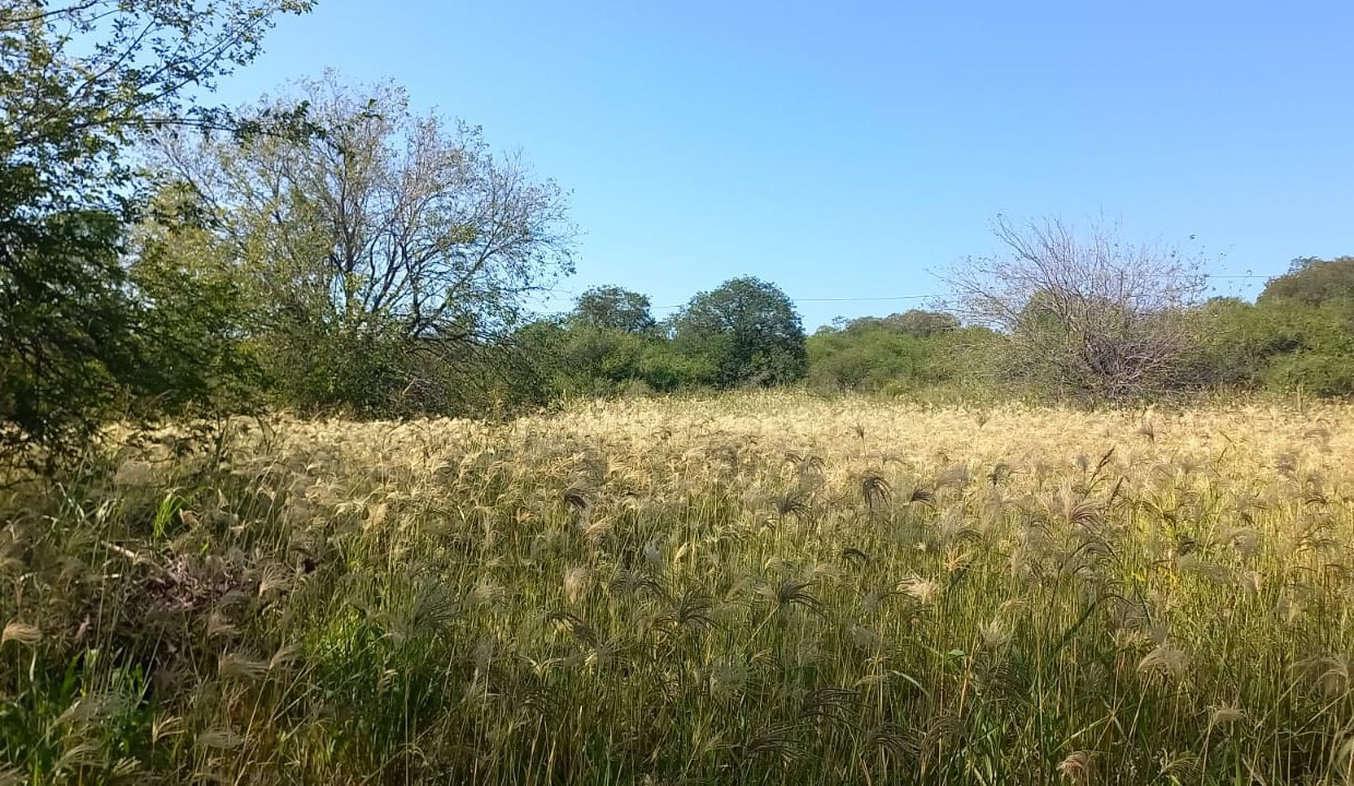 WhatsApp Image 2023-03-05 at 21.30.32