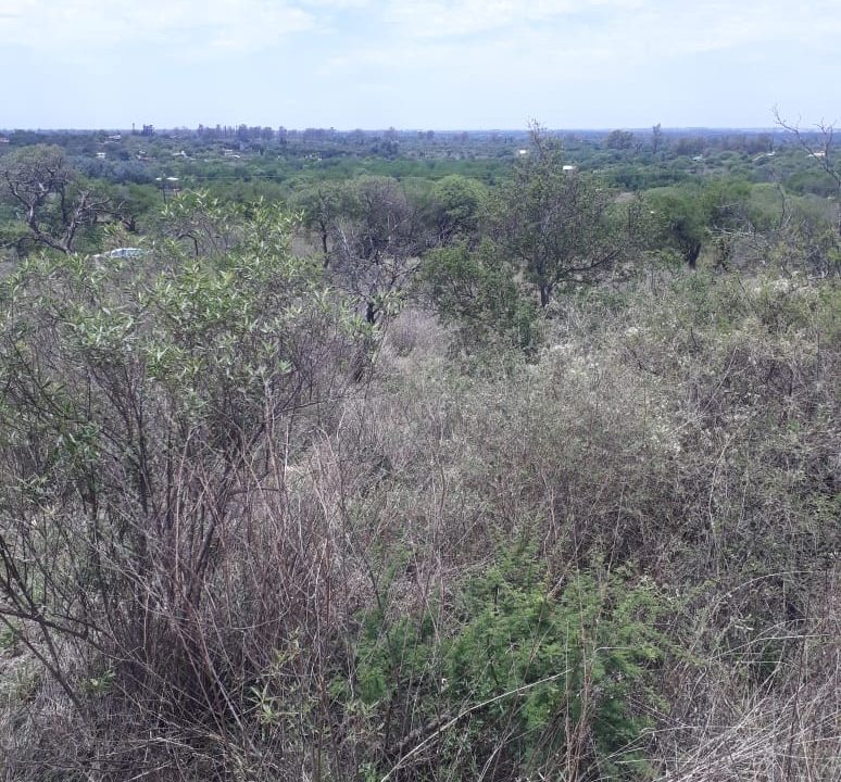 VENTA FRACCION ENTRE AROMOS Y PAISANITA (12)