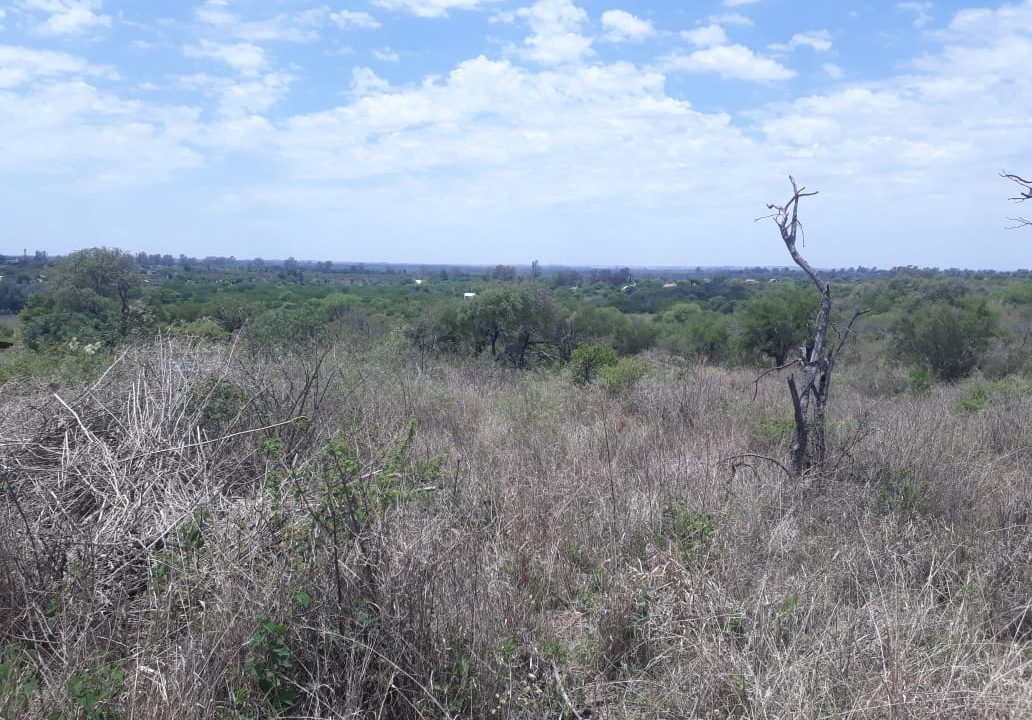 VENTA FRACCION ENTRE AROMOS Y PAISANITA (13)