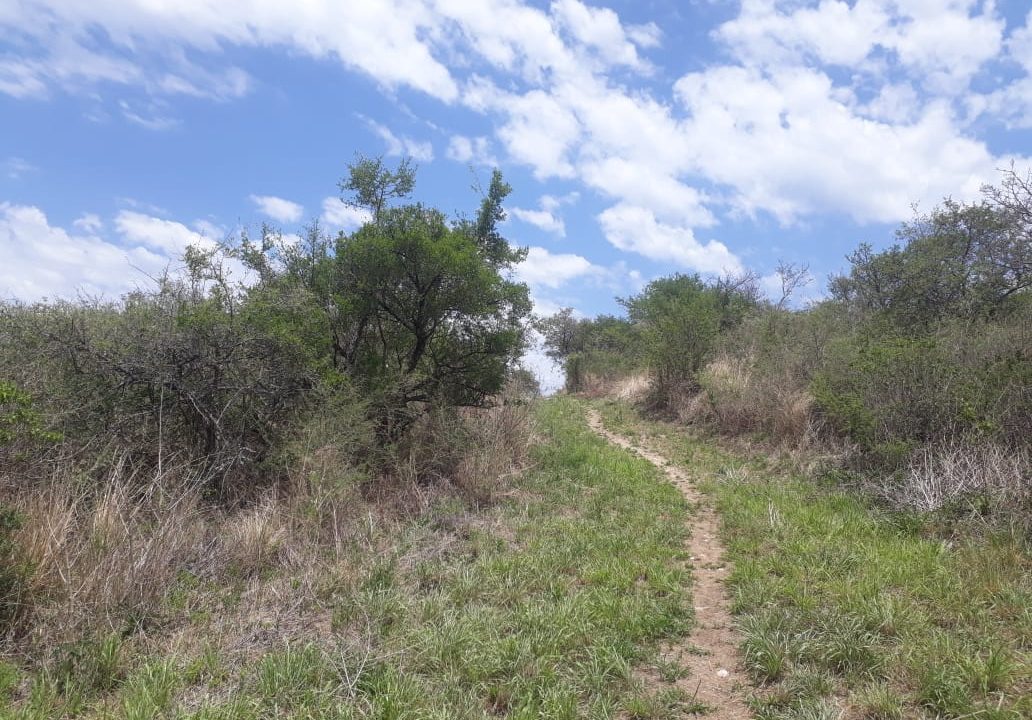 VENTA FRACCION ENTRE AROMOS Y PAISANITA (14)