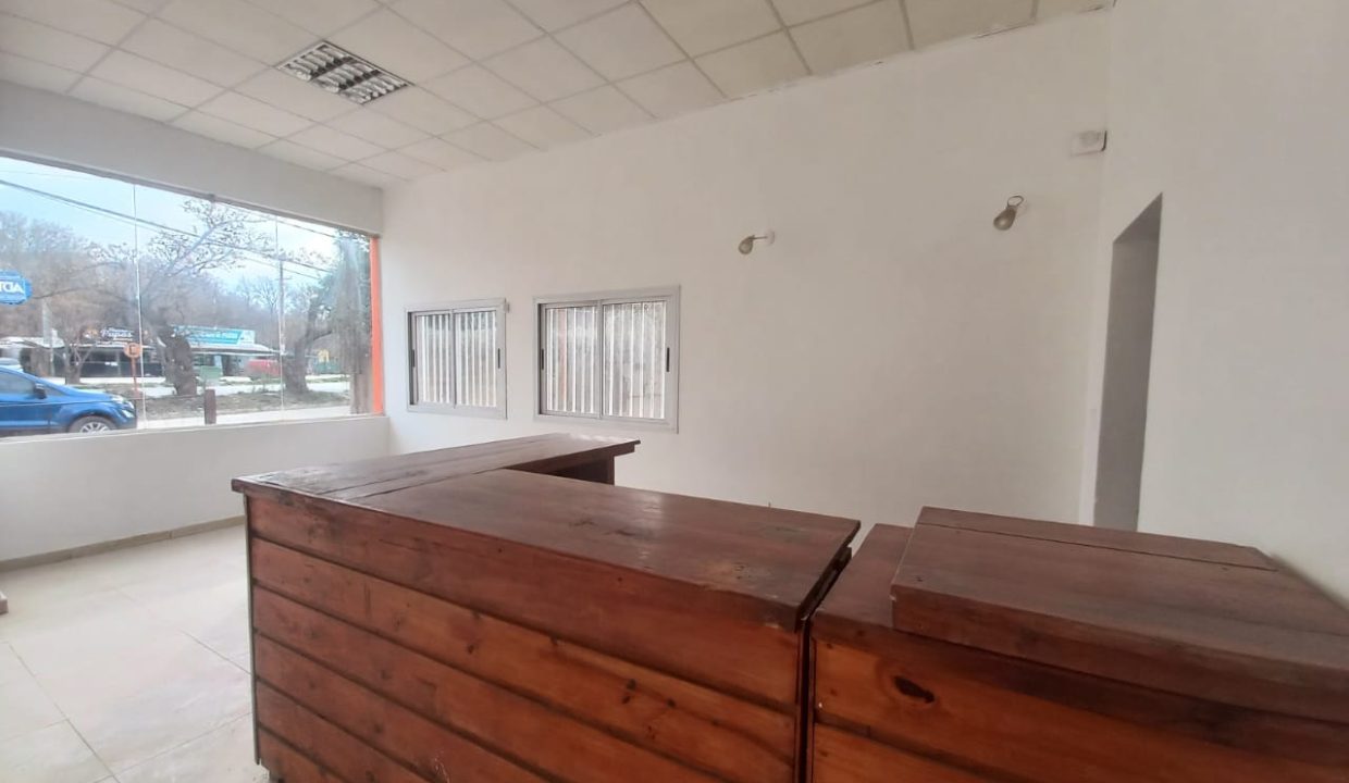 VENTA ANISACATE SOBRE RUTA 5 LOCAL Y CASA (29)