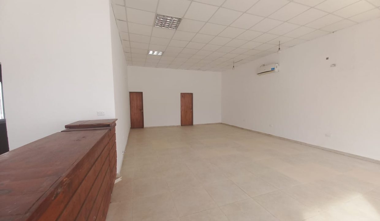 VENTA ANISACATE SOBRE RUTA 5 LOCAL Y CASA (34)