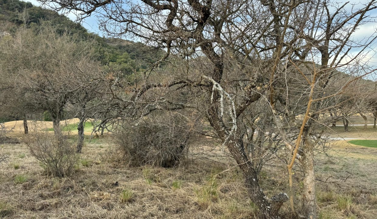 VENTA LOTE POTRERILLO DE LARRETA (21)