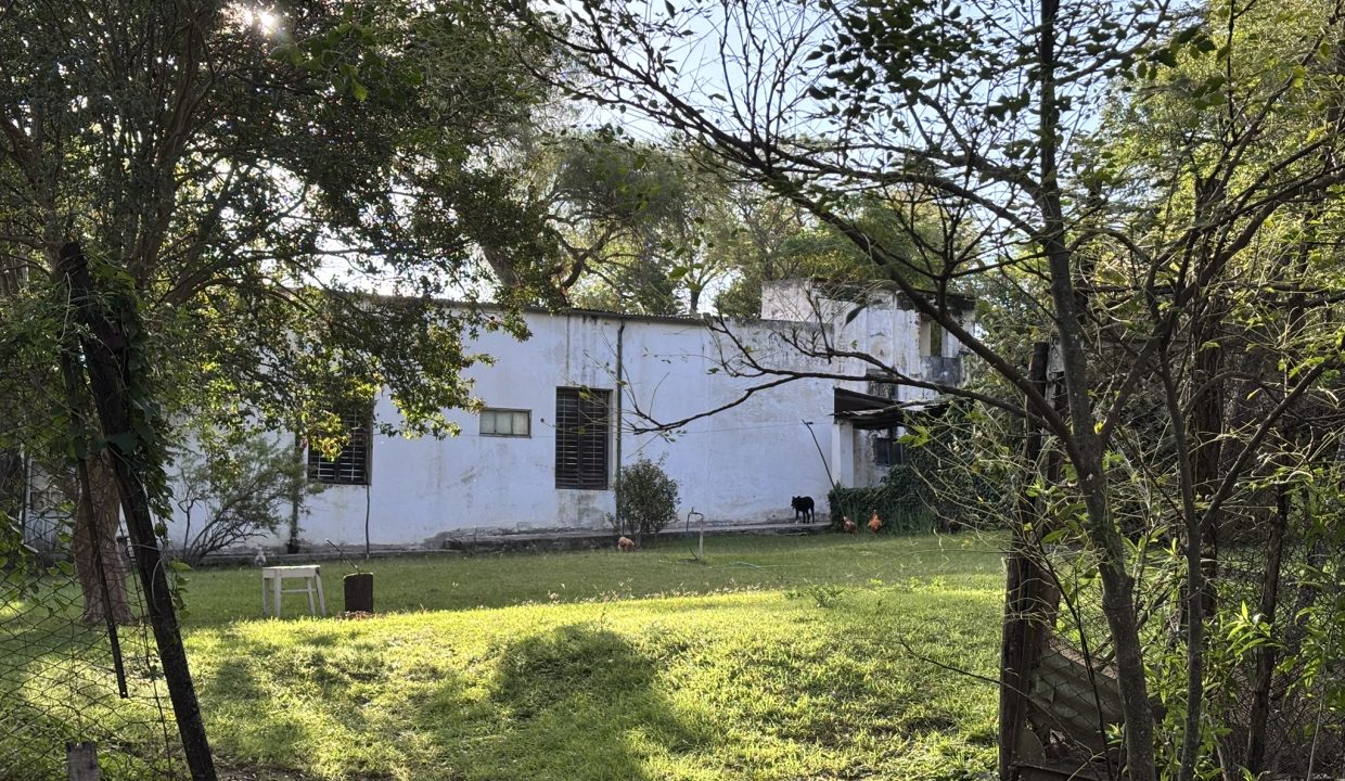 VENTA HECTAREA Y MEDIA BUENA ESPERANZA (14)