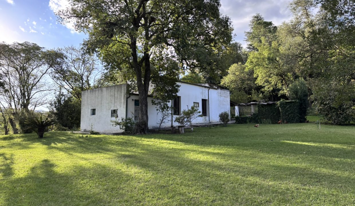 VENTA HECTAREA Y MEDIA BUENA ESPERANZA (18)