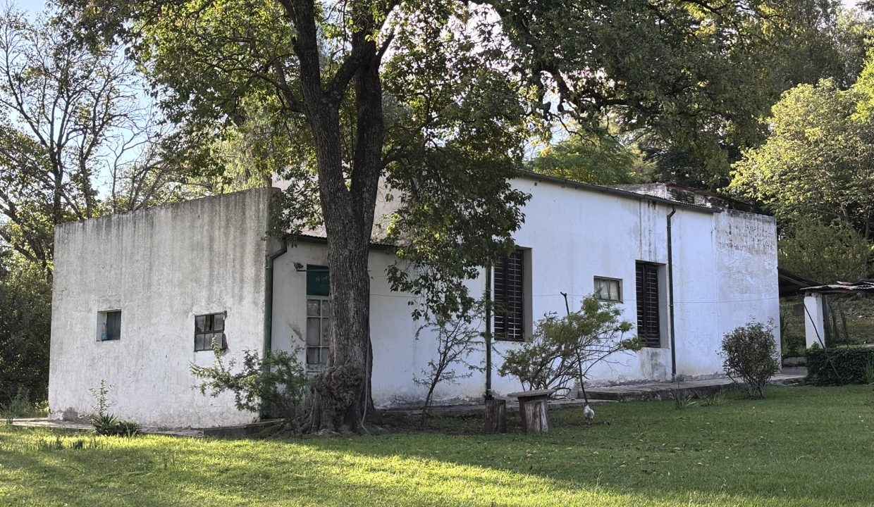 VENTA HECTAREA Y MEDIA BUENA ESPERANZA (19)