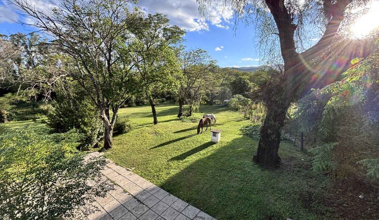 VENTA HECTAREA Y MEDIA BUENA ESPERANZA (2)