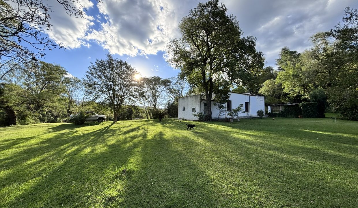 VENTA HECTAREA Y MEDIA BUENA ESPERANZA (20)