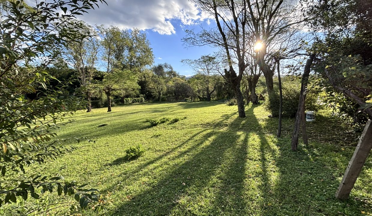 VENTA HECTAREA Y MEDIA BUENA ESPERANZA (36)