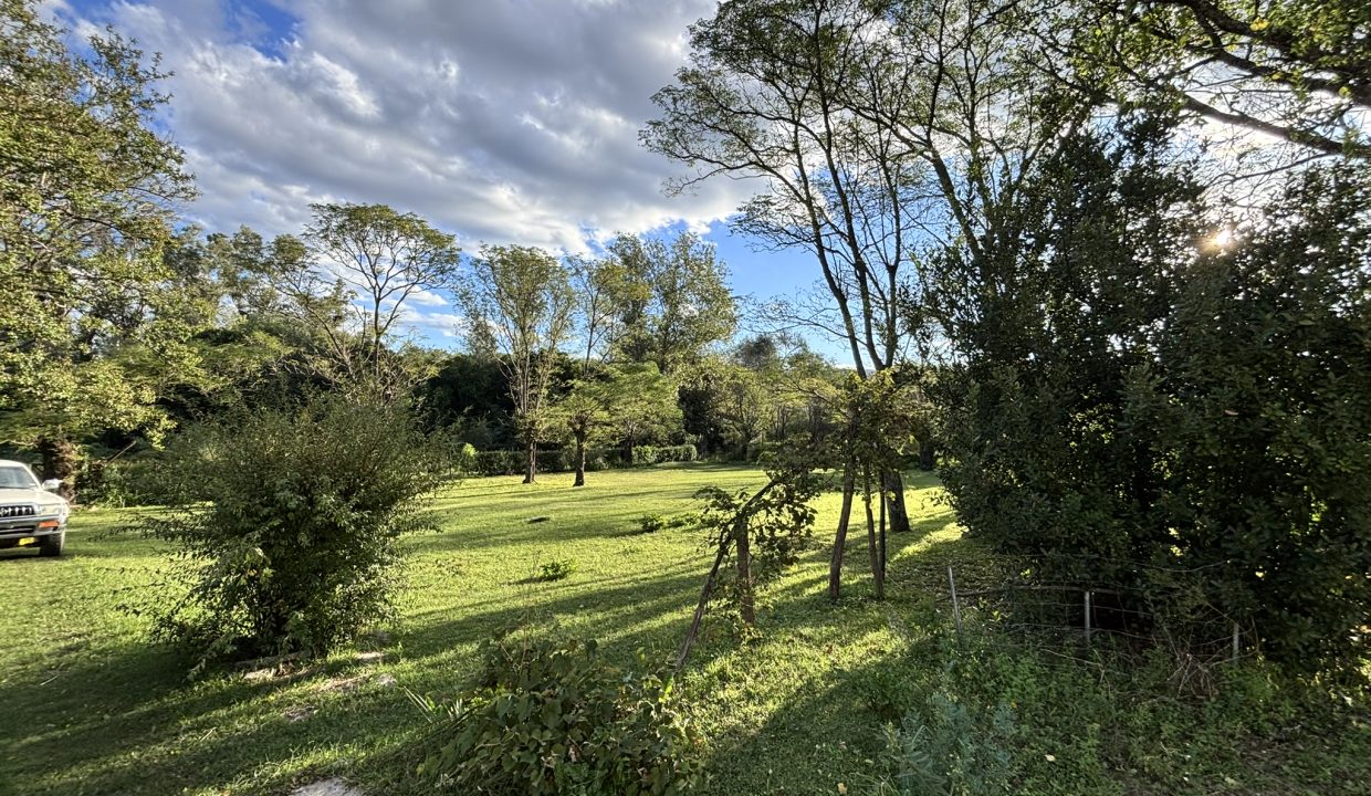 VENTA HECTAREA Y MEDIA BUENA ESPERANZA (37)