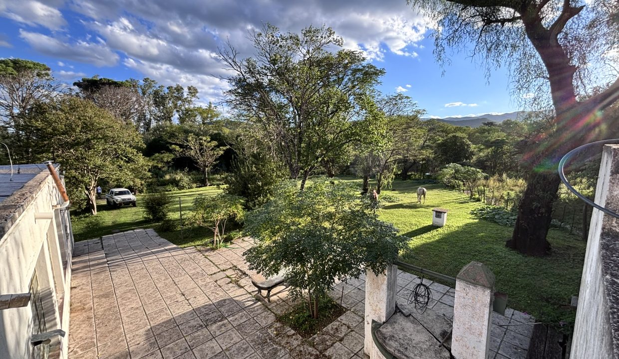 VENTA HECTAREA Y MEDIA BUENA ESPERANZA (4)