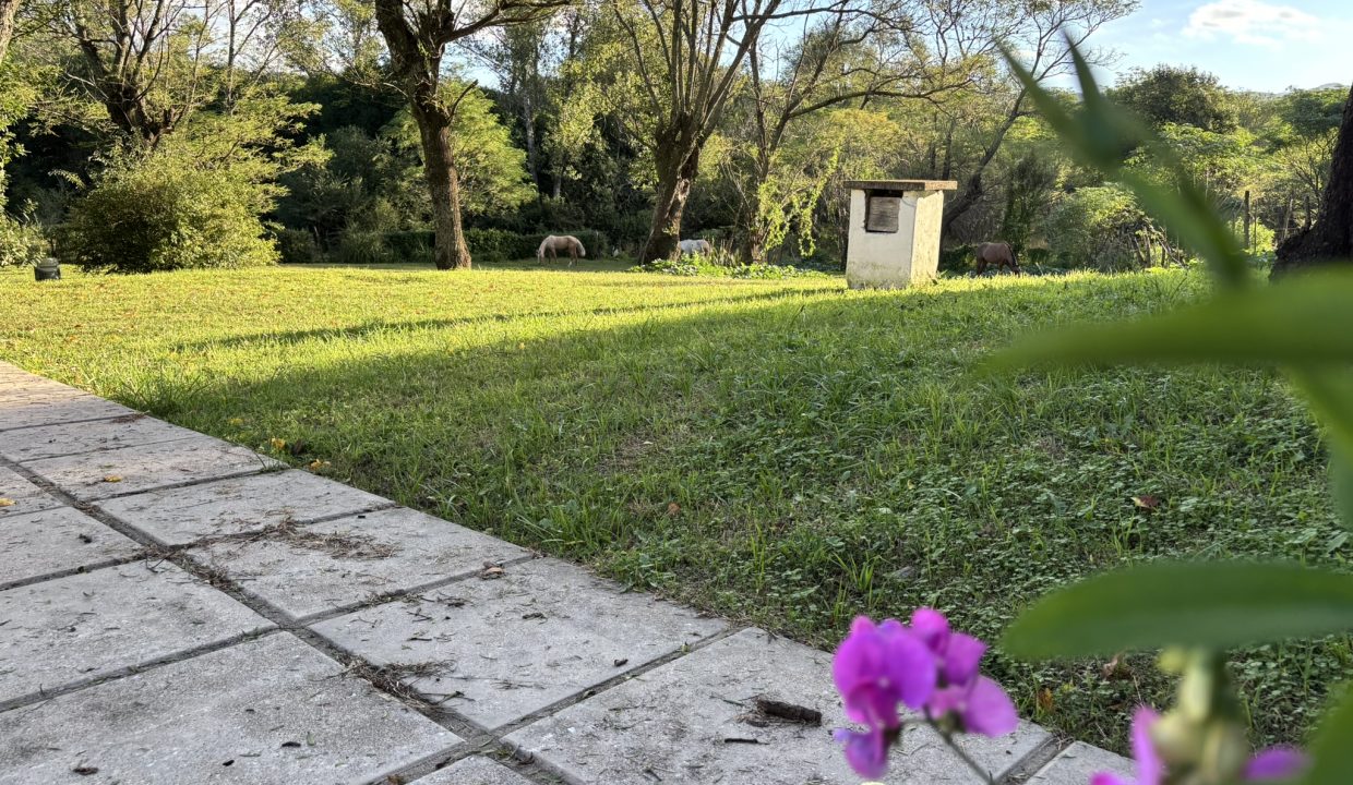 VENTA HECTAREA Y MEDIA BUENA ESPERANZA (7)