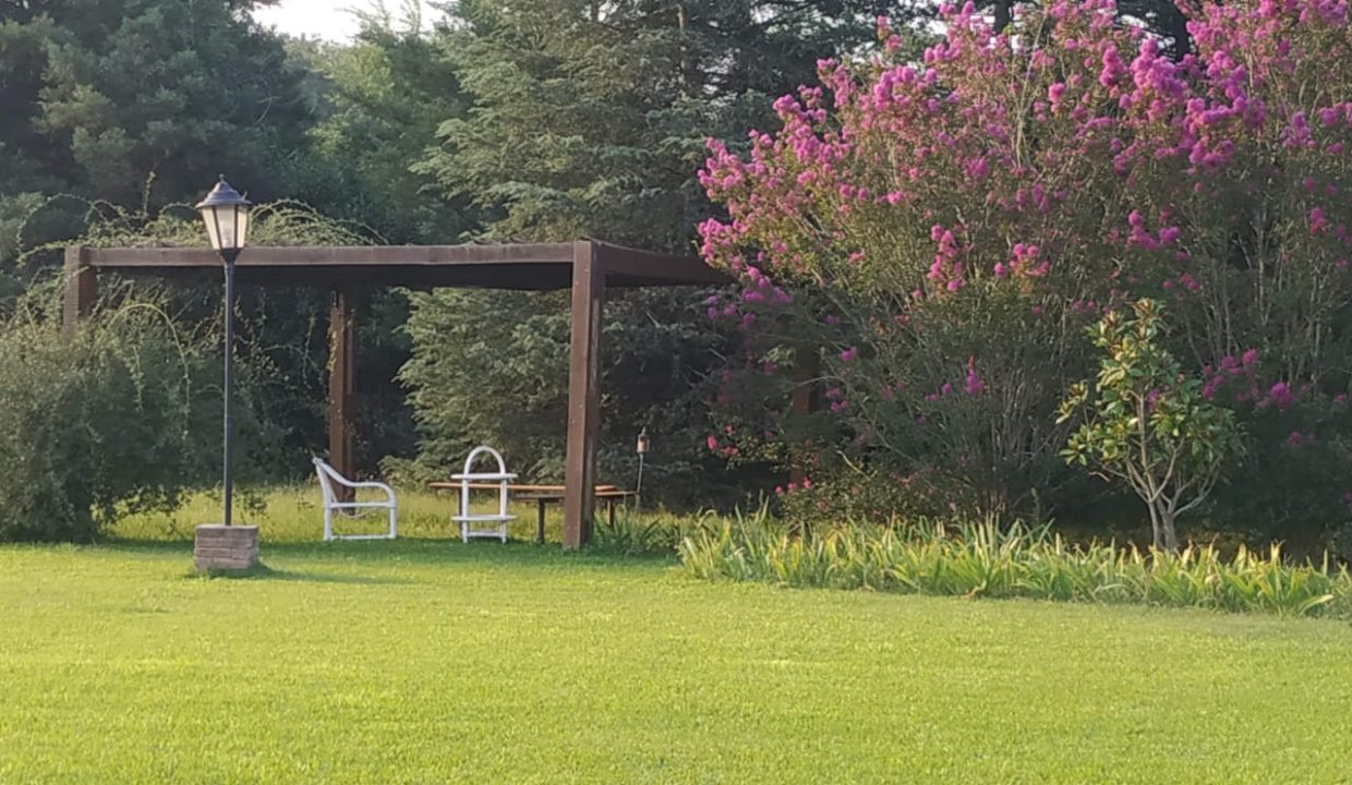 4 HAS ANISACATE CASA DORMIS ARROYO (11)