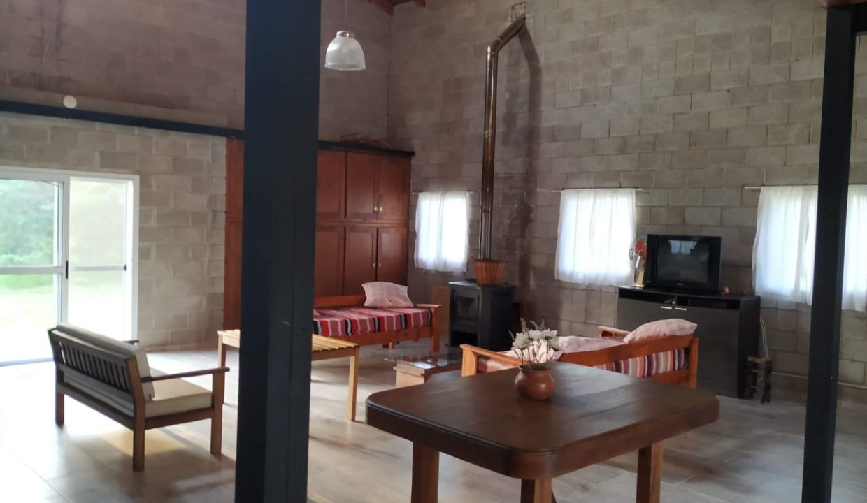 4 HAS ANISACATE CASA DORMIS ARROYO (15)