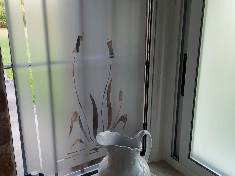 4 HAS ANISACATE CASA DORMIS ARROYO (16)