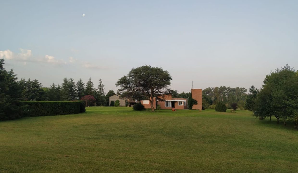 4 HAS ANISACATE CASA DORMIS ARROYO (18)